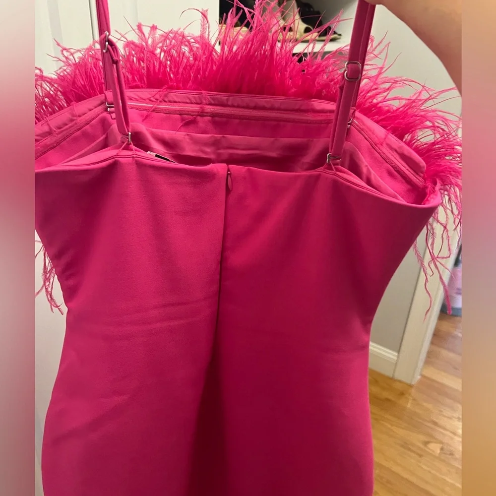 Likely Hot pink feather dress. Excellent condition - Picture 4 of 6